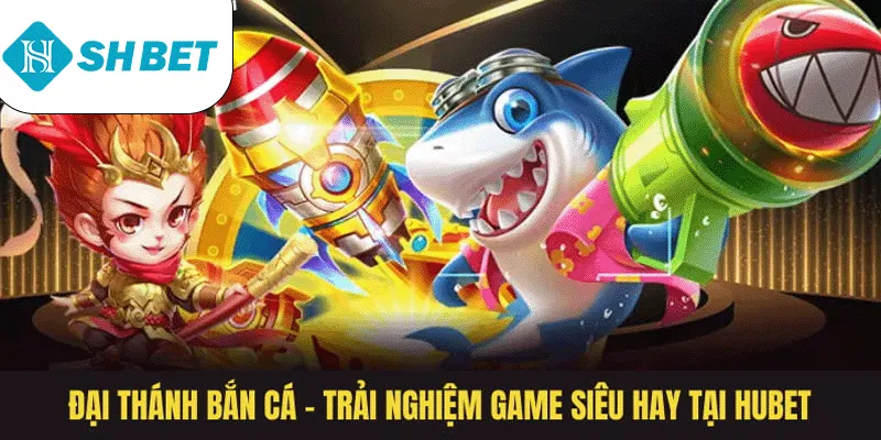 Banner www.fucaco.com