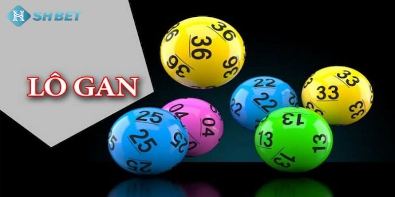 Banner www.fucaco.com