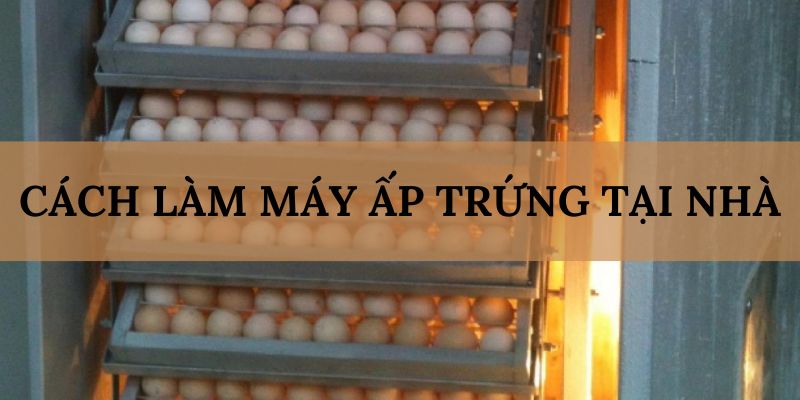 Banner www.fucaco.com