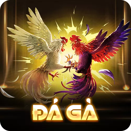 Banner www.fucaco.com