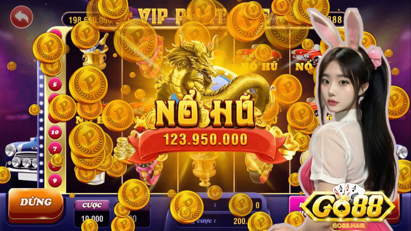 Banner www.fucaco.com