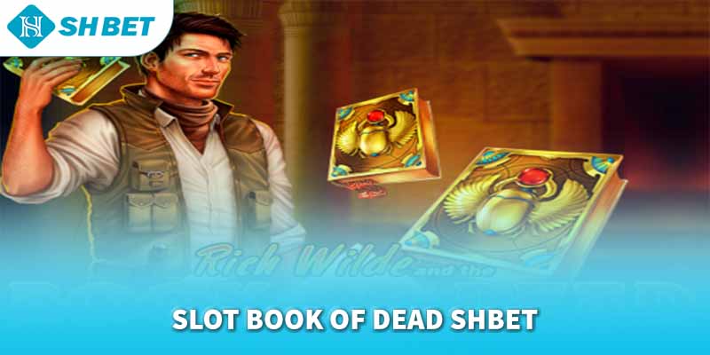 Banner www.fucaco.com