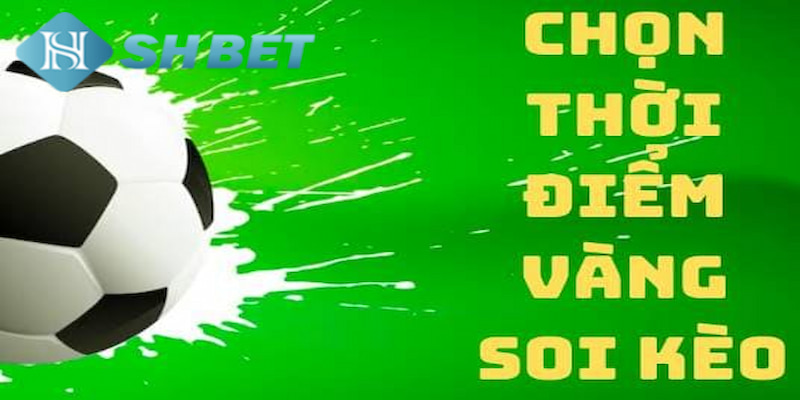 Banner www.fucaco.com