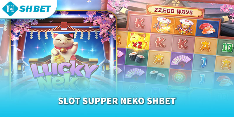 Banner www.fucaco.com